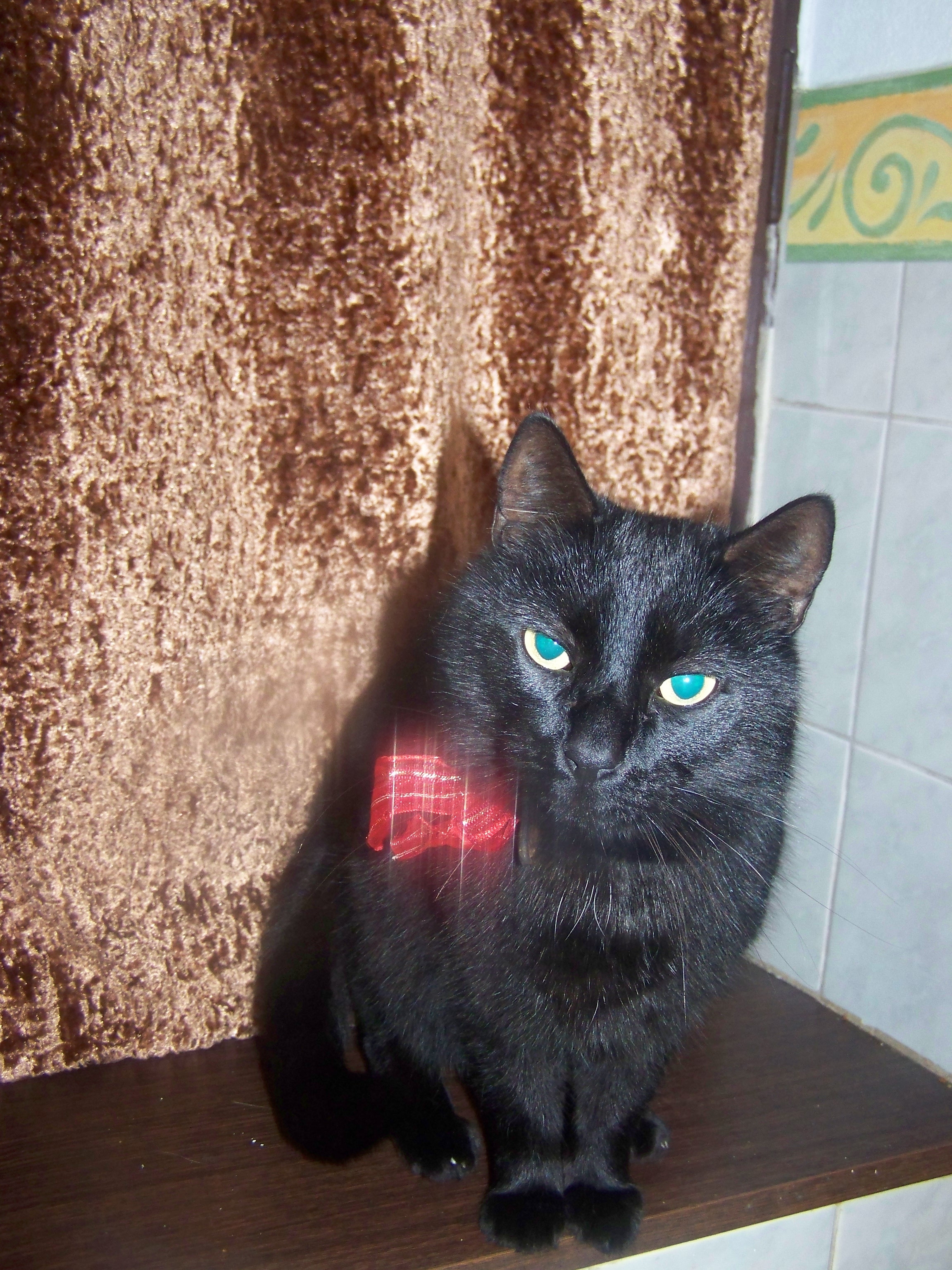 Narozdíl od Borise nesnášim focení!